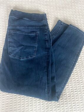 J. Crew Pull-on toothpick jean in indigo size 33